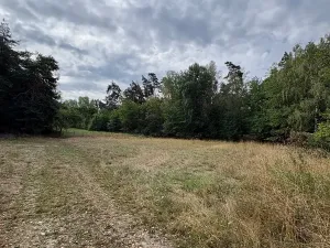 Prodej pozemku pro bydlení, Vlčatín, 56720 m2