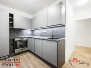 Pronájem bytu 1+1, Hlučín, Severní, 40 m2