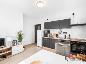 Prodej bytu 2+kk, Břasy, 47 m2