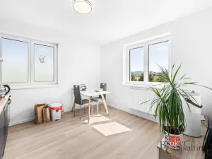 Prodej bytu 2+kk, Břasy, 47 m2