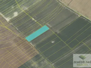 Prodej podílu pole, Velenice, 38441 m2