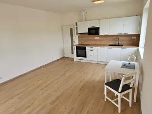 Pronájem bytu 1+kk, Kolín, Pražská, 46 m2