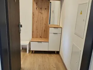 Pronájem bytu 1+kk, Kolín, Pražská, 46 m2