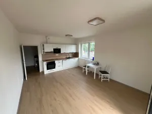 Pronájem bytu 1+kk, Kolín, Pražská, 46 m2