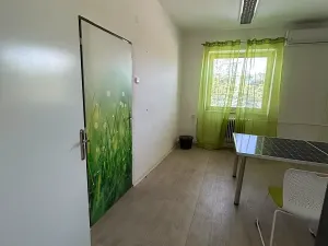 Pronájem kanceláře, Znojmo, Dobšická, 150 m2