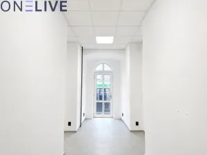 Pronájem kanceláře, Plzeň, Skrétova, 14 m2