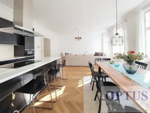 Pronájem bytu 5+kk, Praha - Staré Město, Dušní, 172 m2