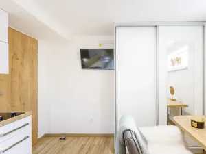 Pronájem bytu 1+kk, Zlín, Vejvanovská, 18 m2