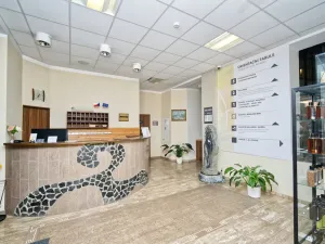 Prodej bytu 1+kk, Branná, 28 m2