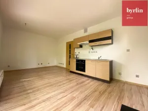Pronájem bytu 1+kk, Ostrava, Krmelínská, 36 m2