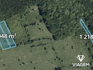 Prodej pole, Javorník, 2876 m2