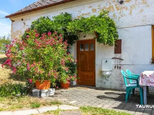 Prodej rodinného domu, Poděvousy, 97 m2