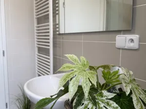 Pronájem bytu 1+kk, Plzeň - Újezd, Diamantová, 30 m2