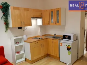 Pronájem bytu 1+kk, Praha, Pod Krocínkou, 23 m2