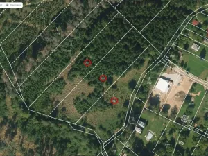 Prodej lesa, Jevíčko, 70821 m2