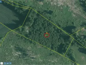 Prodej lesa, Studená - Horní Pole, 20620 m2