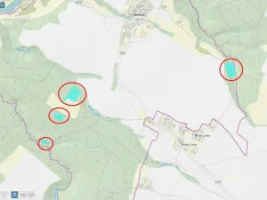Prodej lesa, Bečice, 23812 m2