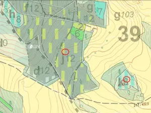 Prodej lesa, Jickovice, 32955 m2