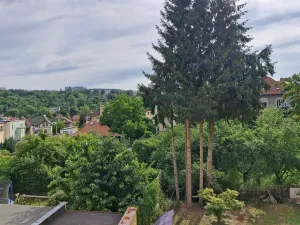 Pronájem bytu 3+1, Ústí nad Labem - Klíše, Slavíčkova, 65 m2