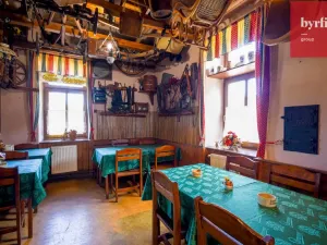 Pronájem restaurace, Opava, Malá strana, 174 m2