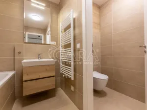 Pronájem bytu 1+kk, Praha - Holešovice, V háji, 44 m2