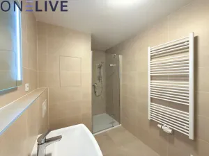 Pronájem bytu 1+kk, Plzeň, Železná, 39 m2