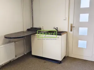 Pronájem skladu, Brno - Maloměřice, Selská, 50 m2