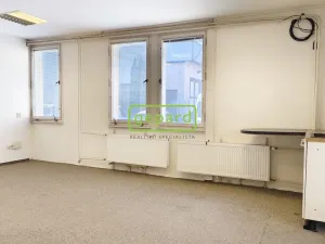 Pronájem skladu, Brno - Maloměřice, Selská, 50 m2
