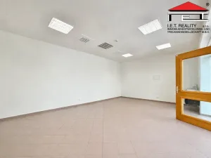 Pronájem obchodního prostoru, Brno, Orlí, 33 m2