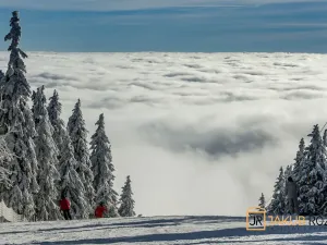 Prodej ubytování, Černý Důl, 377 m2
