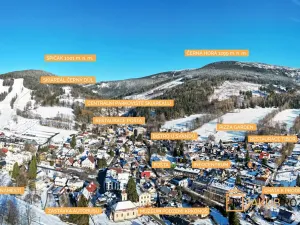 Prodej chaty, Černý Důl, 377 m2