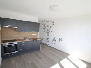 Pronájem bytu 1+kk, České Budějovice - České Budějovice 3, U Trojice, 21 m2