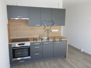 Pronájem bytu 1+kk, České Budějovice - České Budějovice 3, U Trojice, 21 m2