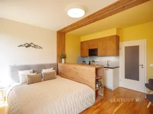 Prodej bytu 1+kk, Loučná pod Klínovcem, 26 m2