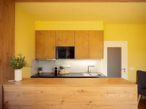 Prodej bytu 1+kk, Loučná pod Klínovcem, 26 m2