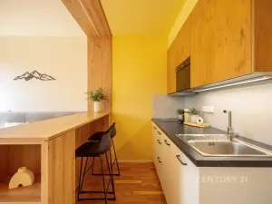 Prodej bytu 1+kk, Loučná pod Klínovcem, 26 m2