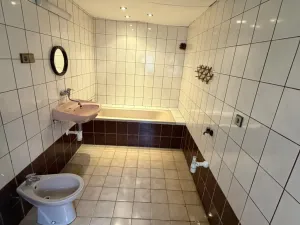 Prodej rodinného domu, Velký Týnec - Čechovice, Týnecká, 350 m2