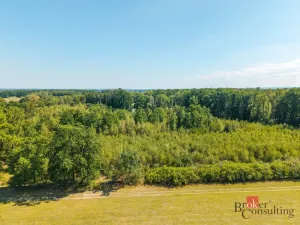 Prodej lesa, Pardubice - Pardubice-Staré Město, 37347 m2