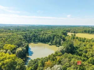Prodej lesa, Pardubice - Pardubice-Staré Město, 37347 m2