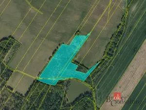 Prodej lesa, Pardubice - Pardubice-Staré Město, 37347 m2