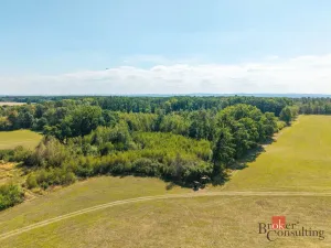 Prodej lesa, Pardubice - Pardubice-Staré Město, 37347 m2