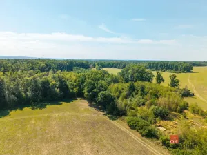 Prodej lesa, Pardubice - Pardubice-Staré Město, 37347 m2