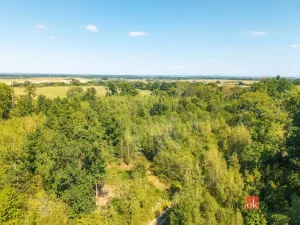 Prodej lesa, Pardubice - Pardubice-Staré Město, 37347 m2