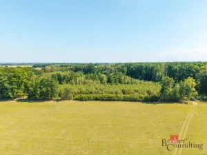 Prodej lesa, Pardubice - Pardubice-Staré Město, 37347 m2