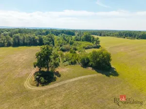 Prodej lesa, Pardubice - Pardubice-Staré Město, 37347 m2