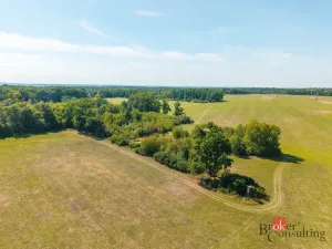 Prodej lesa, Pardubice - Pardubice-Staré Město, 37347 m2