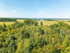 Prodej lesa, Pardubice - Pardubice-Staré Město, 37347 m2