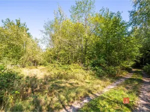 Prodej lesa, Pardubice - Pardubice-Staré Město, 37347 m2