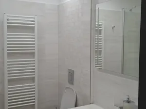 Pronájem bytu 2+kk, České Budějovice - České Budějovice 2, Plukovníka Malého, 60 m2