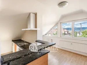 Pronájem bytu 3+1, Teplice, Kašparova, 116 m2